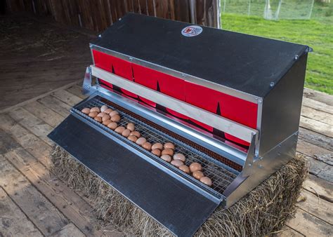 metal egg laying boxes|outdoor nesting boxes for chickens.